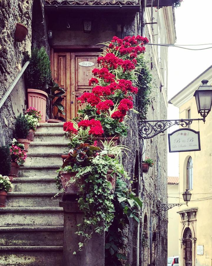 La Scala Fiorita Bed & Breakfast Anagni Exterior photo