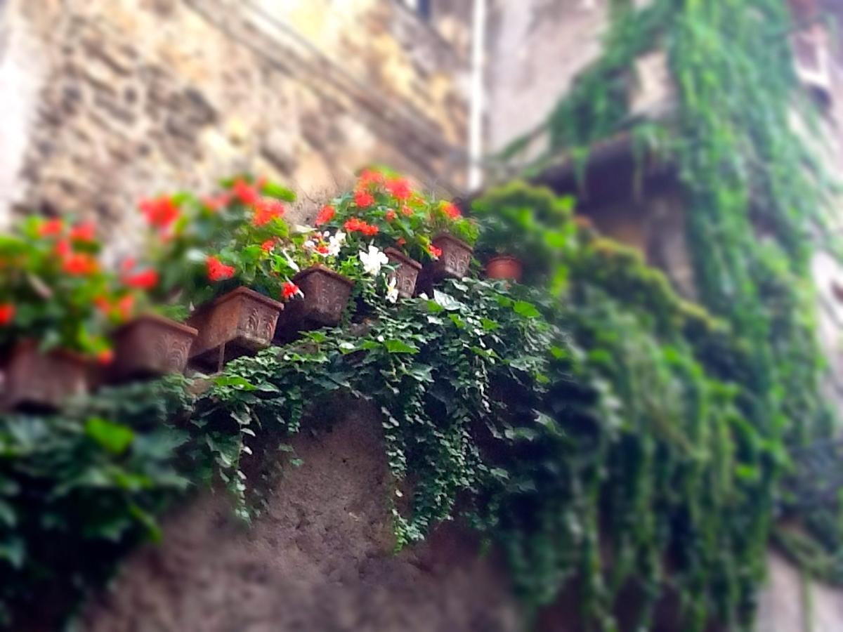 La Scala Fiorita Bed & Breakfast Anagni Exterior photo